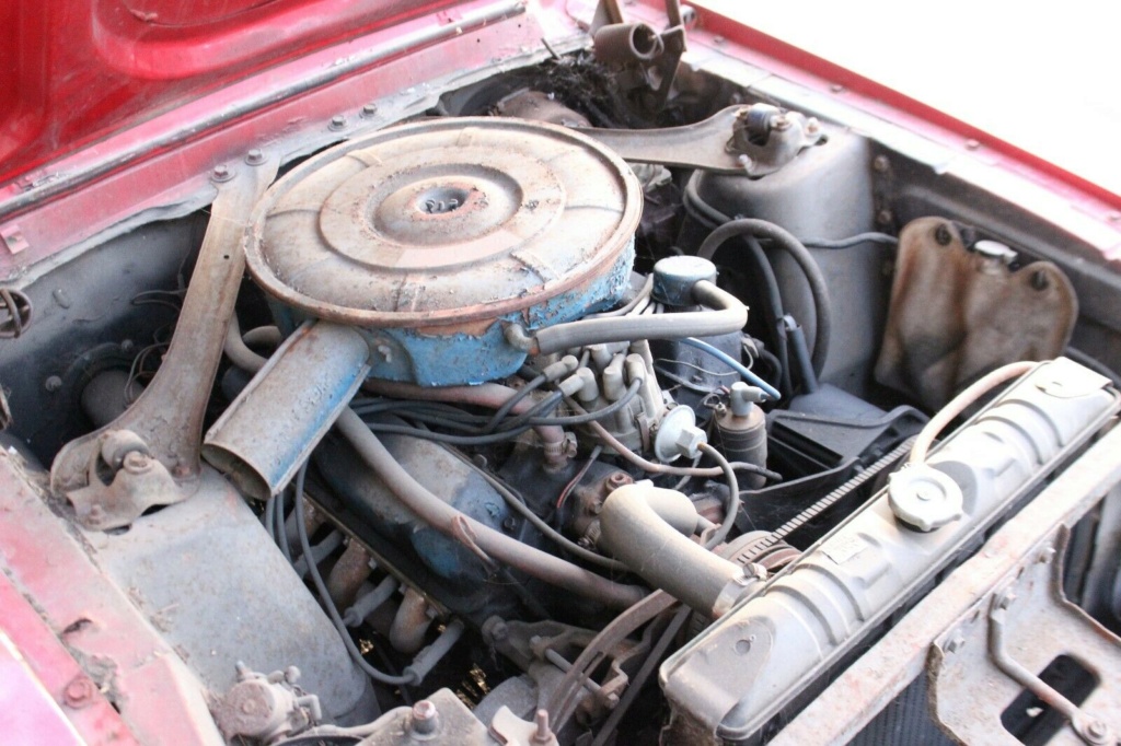 Détails : photo devant et cage moteur de Mustang 1967 1968 1967_c11