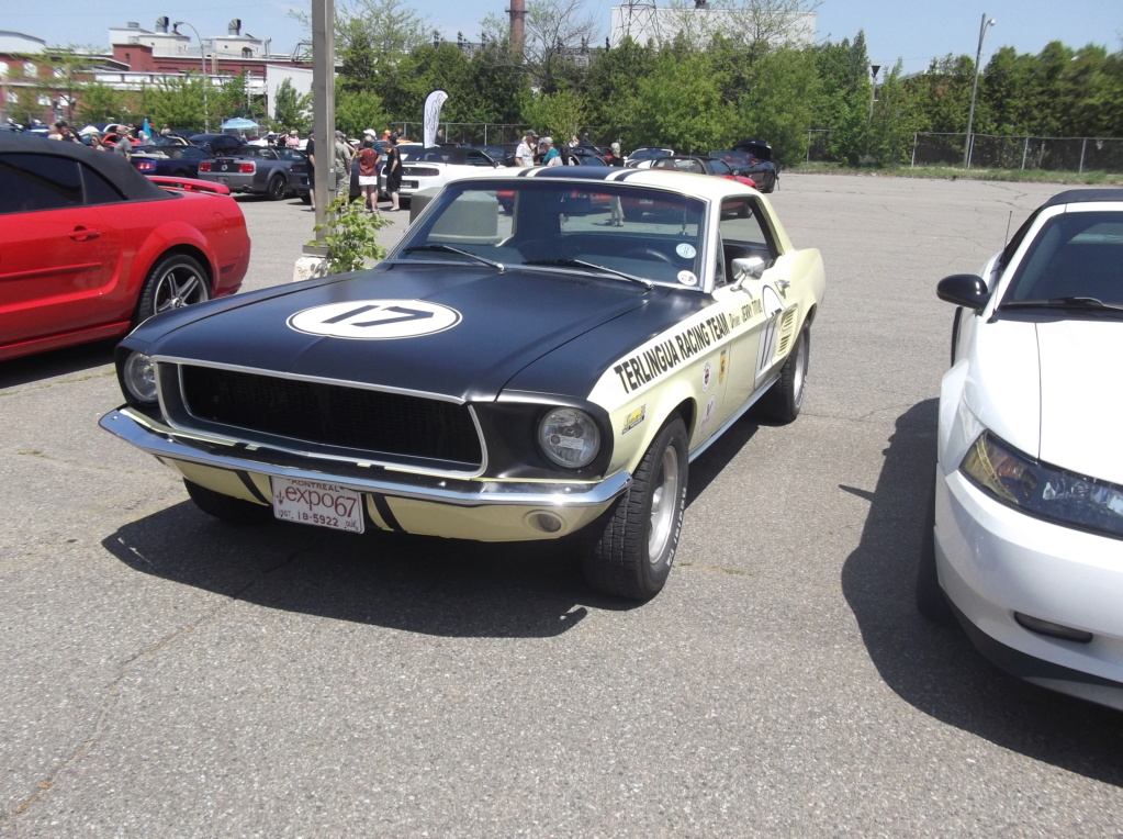 Bénédiction des Mustang le 28 mai 2023 1967_j10