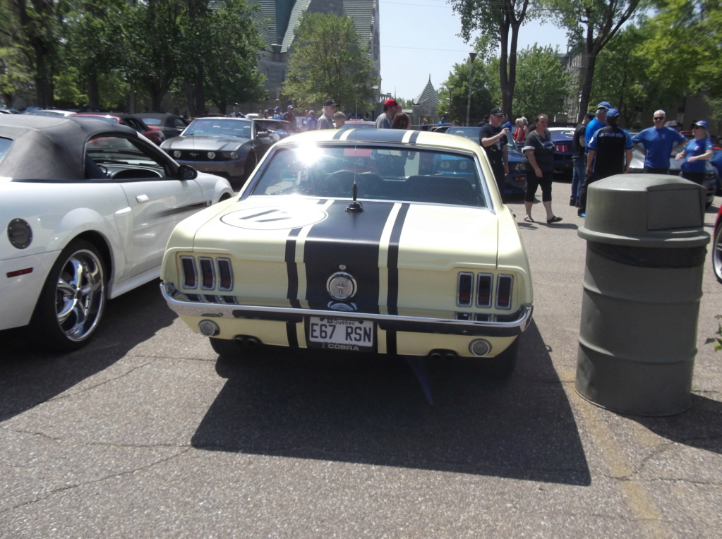 Bénédiction des Mustang le 28 mai 2023 1967_j12