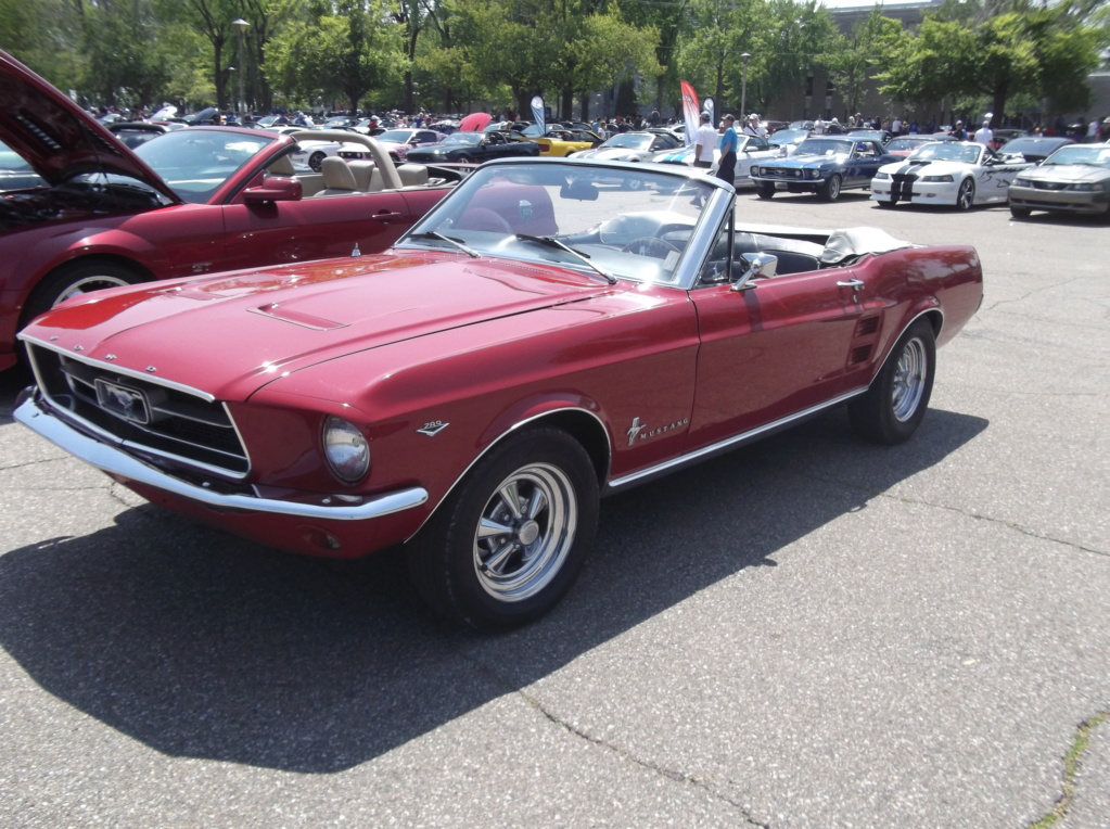 Bénédiction des Mustang le 28 mai 2023 1967_r10
