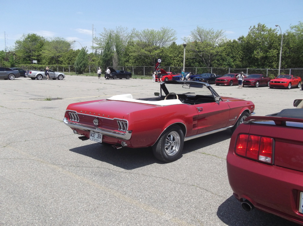 Bénédiction des Mustang le 28 mai 2023 1967_r11