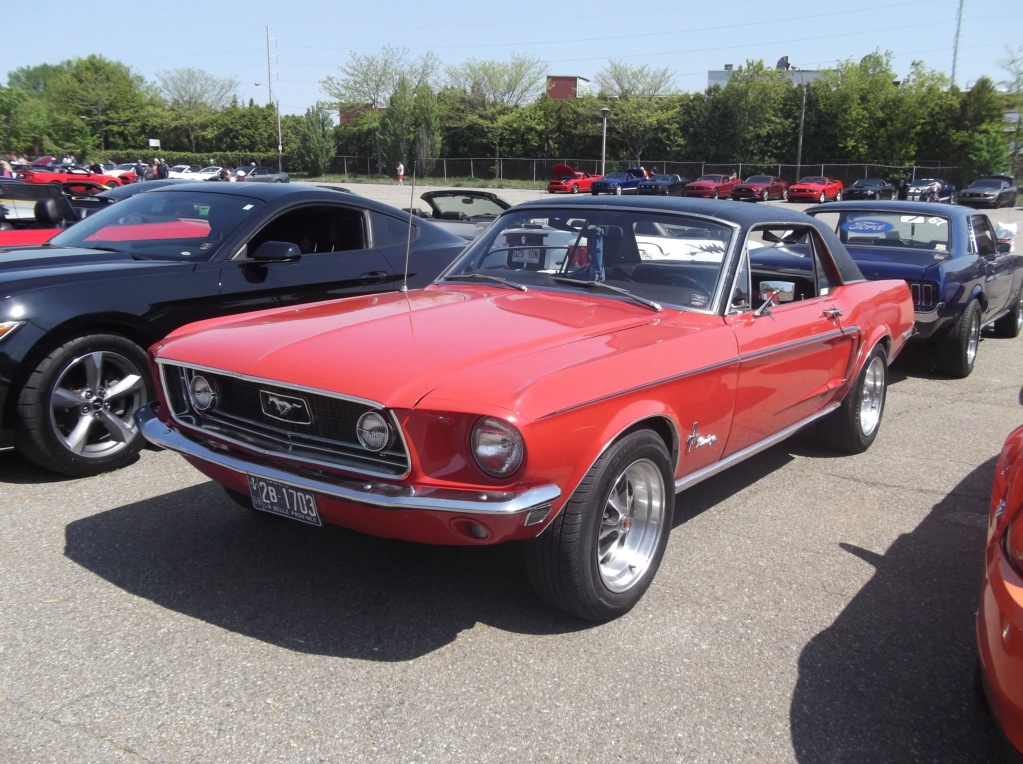 Bénédiction des Mustang le 28 mai 2023 1968_110