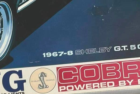 Shelby à coller à l'échelle 1:16 33942710