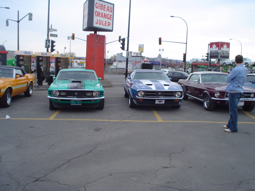 mustang - Montréal Mustang: 40 ans et + d’activités! (Photos-Vidéos,etc...) - Page 17 Dsc00720