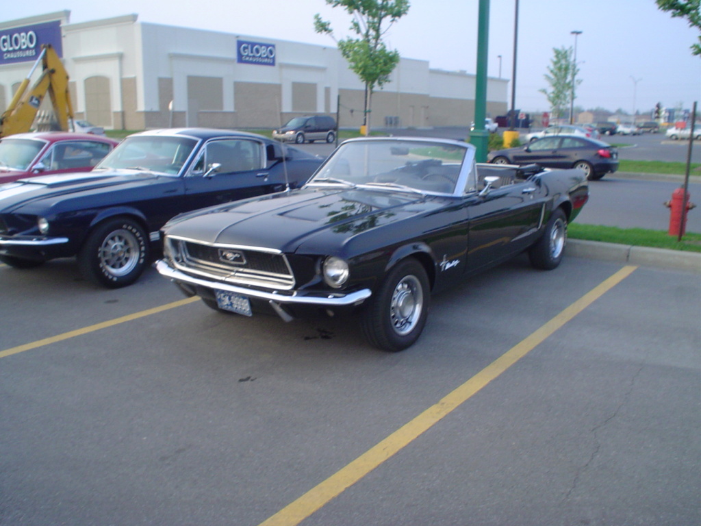 Montréal Mustang dans le temps! 1981 à aujourd'hui (Histoire en photos) - Page 12 Dsc00812