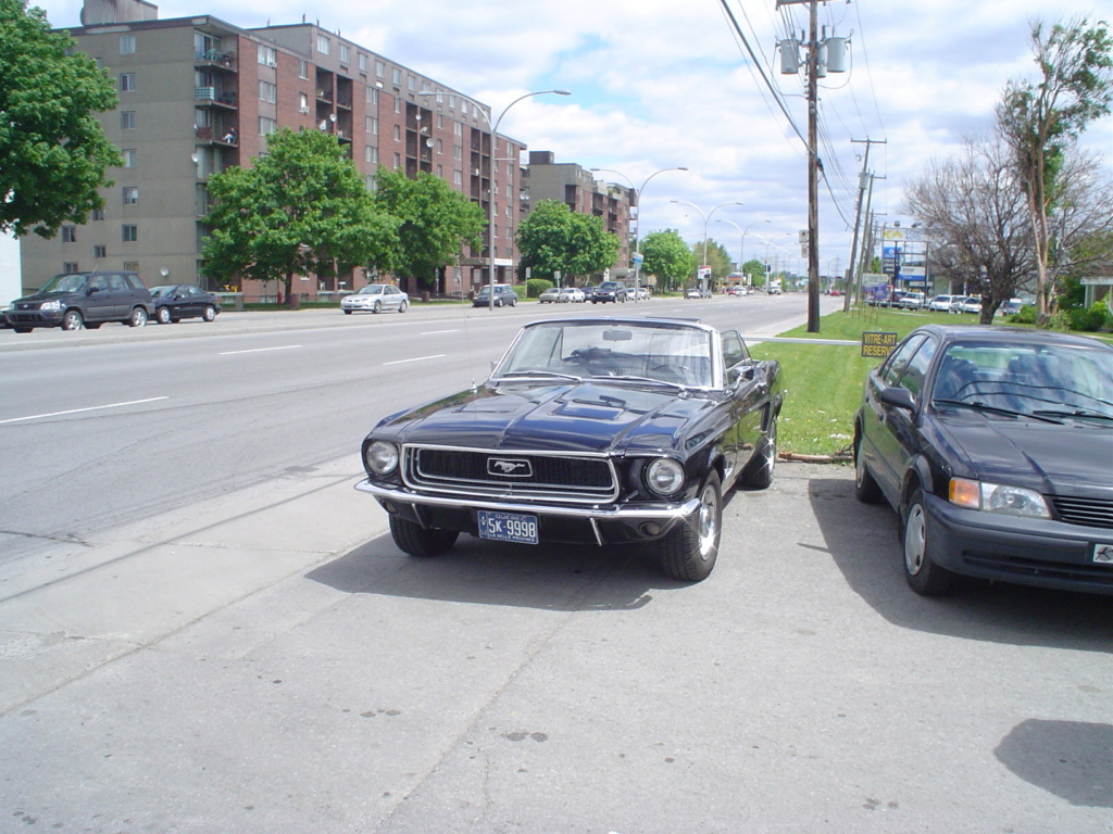 mustang - Montréal Mustang: 40 ans et + d’activités! (Photos-Vidéos,etc...) - Page 17 Dsc00914