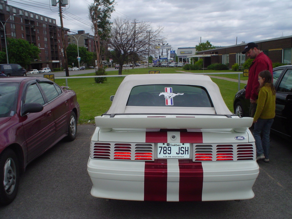 ford - Montréal Mustang: 40 ans et + d’activités! (Photos-Vidéos,etc...) - Page 17 Dsc00925