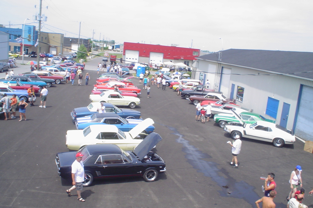 mustang - Montréal Mustang: 40 ans et + d’activités! (Photos-Vidéos,etc...) - Page 19 Dsc03317