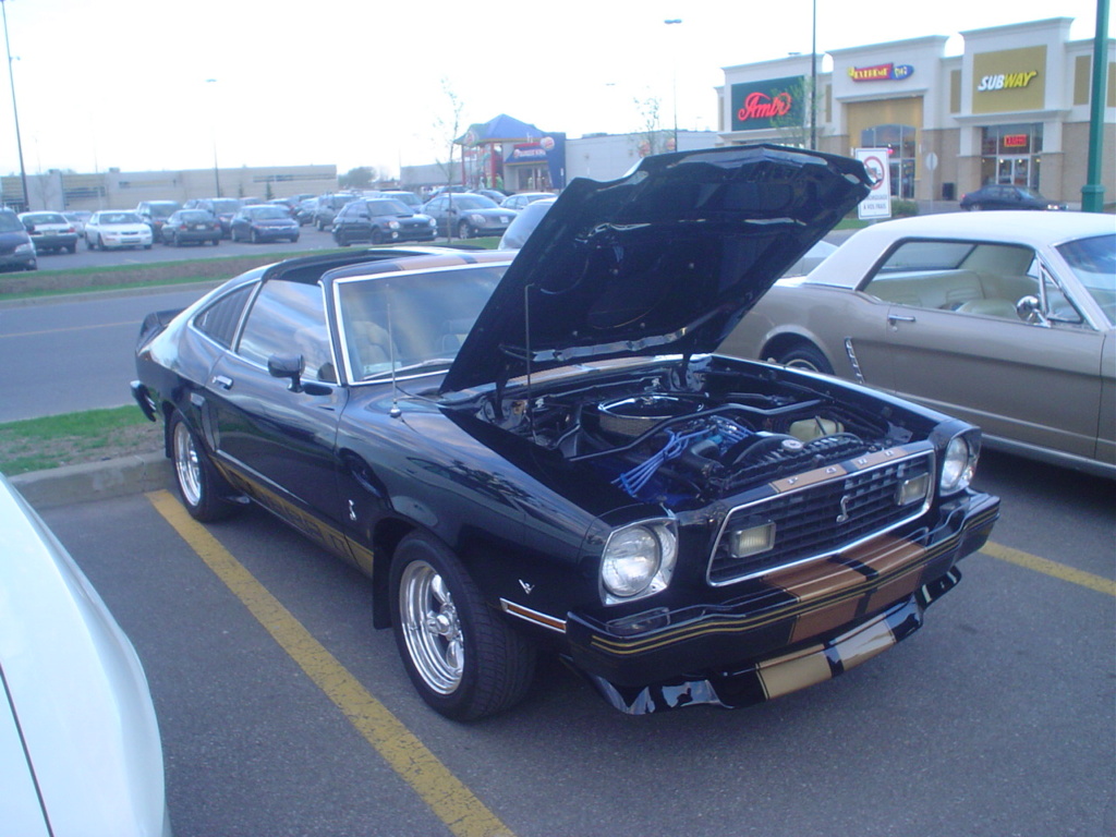Montréal Mustang dans le temps! 1981 à aujourd'hui (Histoire en photos) - Page 15 Dsc06012