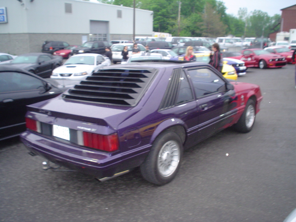 ford - Montréal Mustang: 40 ans et + d’activités! (Photos-Vidéos,etc...) - Page 19 Dsc06212