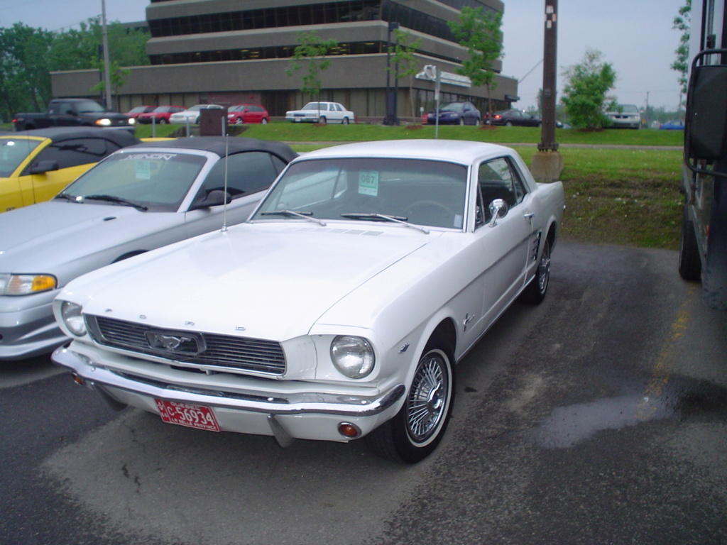 Montréal Mustang dans le temps! 1981 à aujourd'hui (Histoire en photos) - Page 14 Dsc06214