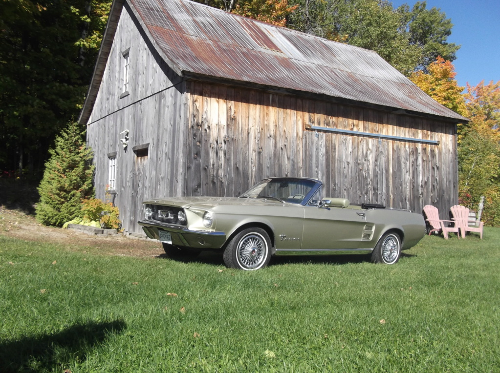 Séance photo de ma Mustang au Vignoble Prémont Dscf8430