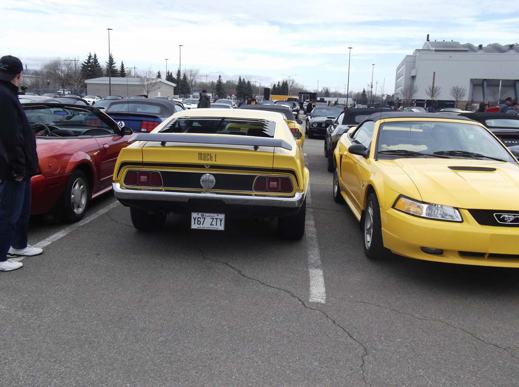 5 mai 2024, Record mondial Mustang dans un convoi, RECORD BATTU 1889 Mustang - Page 6 Dscf9437