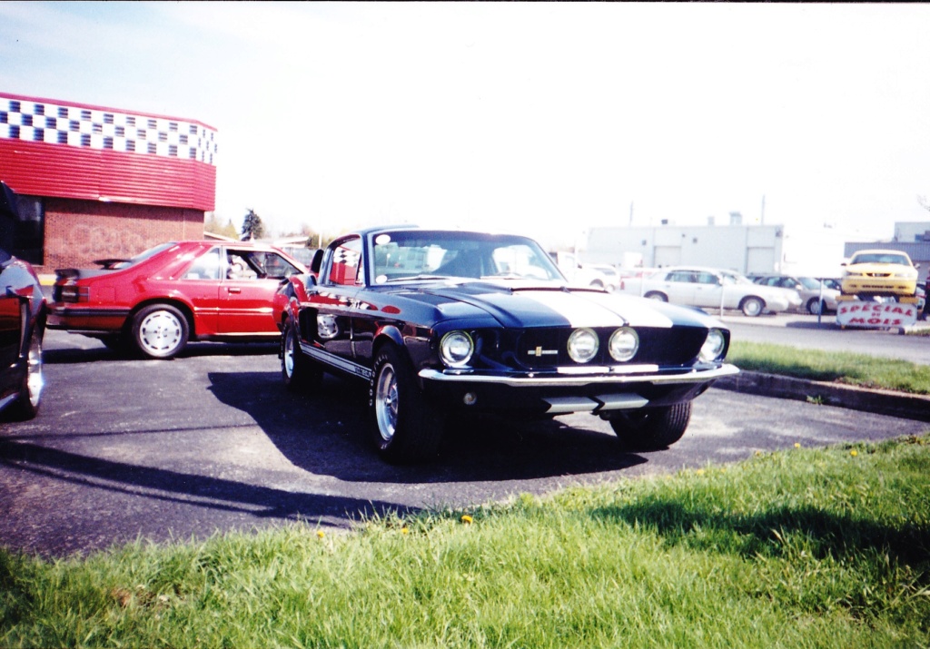 Montréal Mustang dans le temps! 1981 à aujourd'hui (Histoire en photos) - Page 9 Grand-11