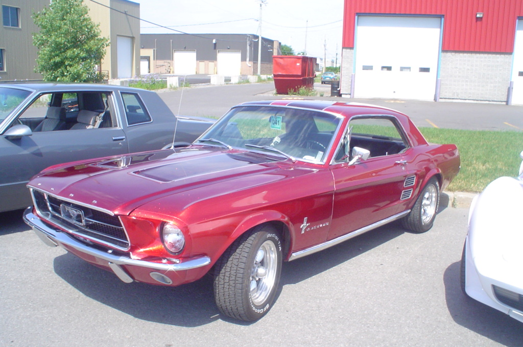 ford - Montréal Mustang: 40 ans et + d’activités! (Photos-Vidéos,etc...) - Page 19 Musta153