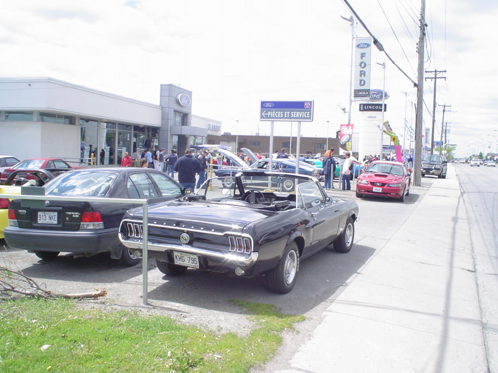 Montréal Mustang dans le temps! 1981 à aujourd'hui (Histoire en photos) - Page 12 Non_ds10