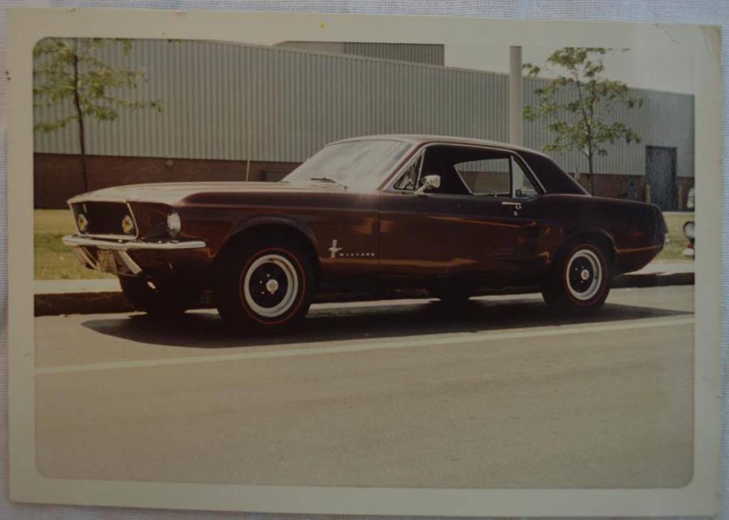 Photo d'époque avec des Mustang 1967 ou 1968 Polaro11