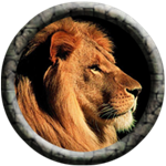 Τεχνικά θέματα Lion1310