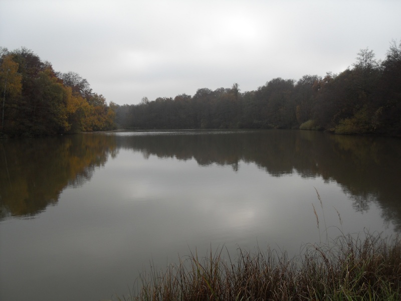 Journée float-tube étangs de Verchat (90) le 21 octobre Sdc10210