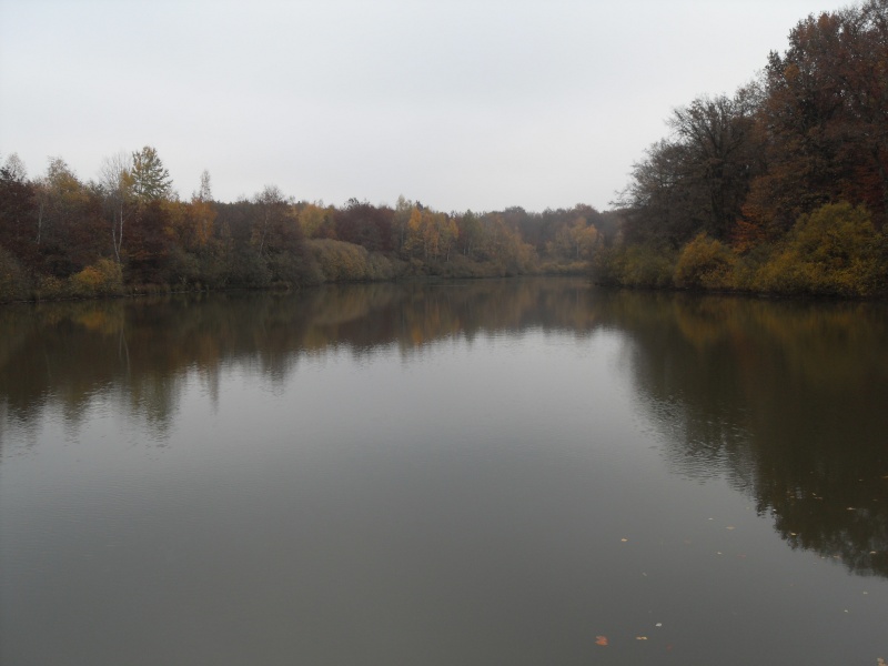float - Journée float-tube étangs de Verchat (90) le 21 octobre Sdc10310