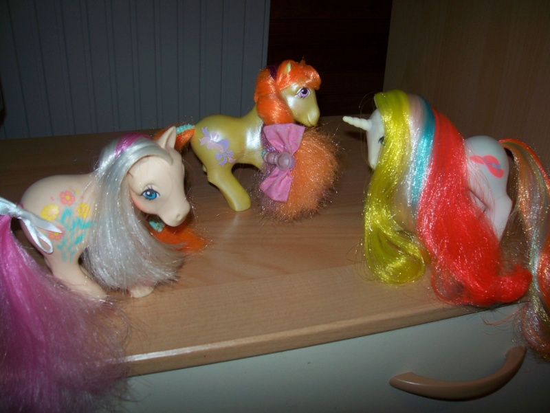 ma collection de poneys g1 100_9242