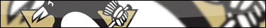 Penguins de Pittsburgh