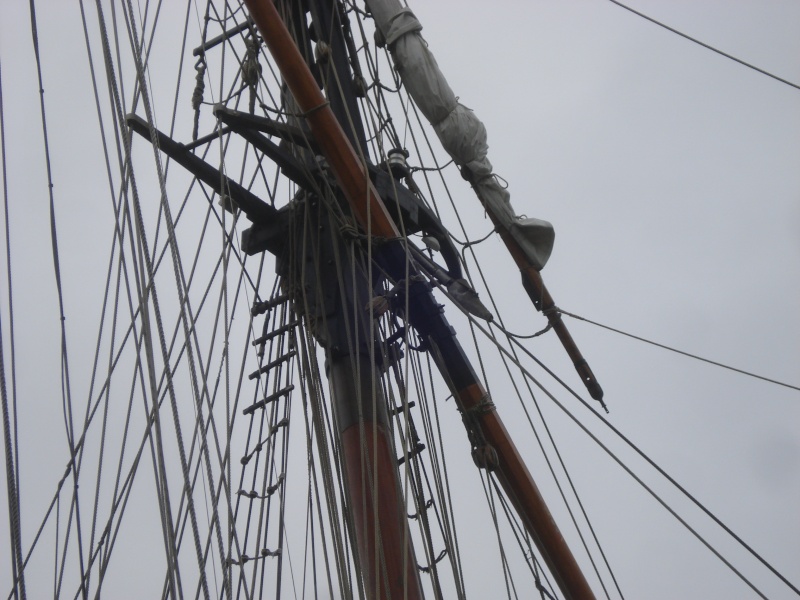 [FRANCE] Cotre corsaire RENARD (Saint Malo) Dsc02728