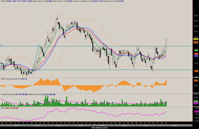 Mercado BMFBOVESPA AO VIVO Mrfg311