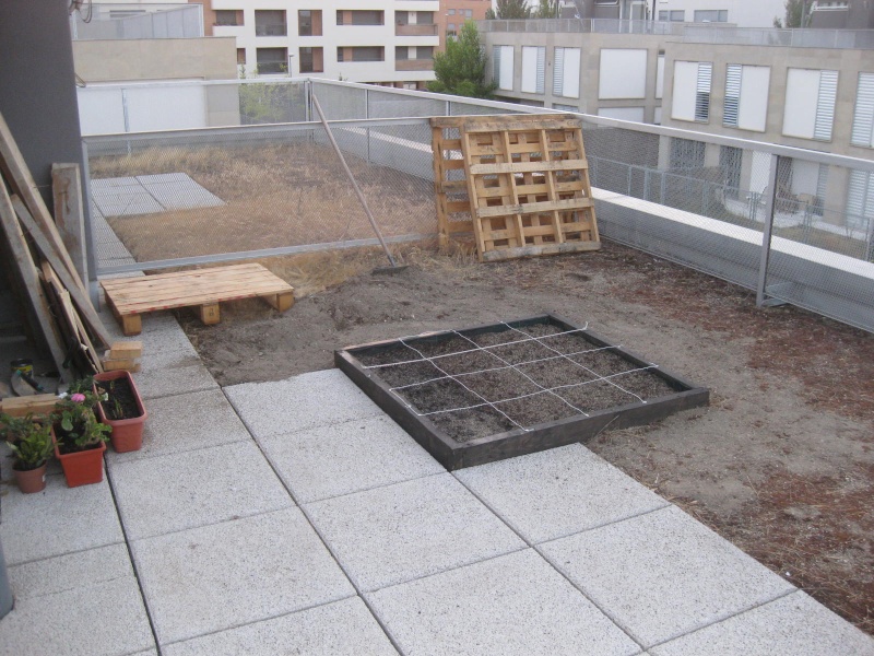 Square foot gardening on a roof top Img_0014