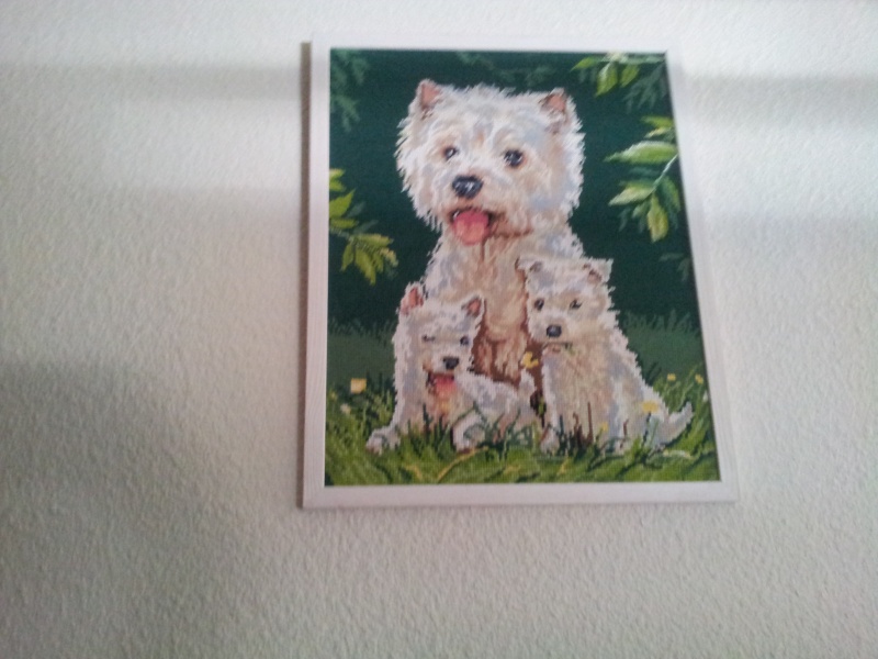 album laetitia 20120815