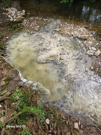 Moselle - pollution ruisseau kaltbach boulay-moselle Pollut10