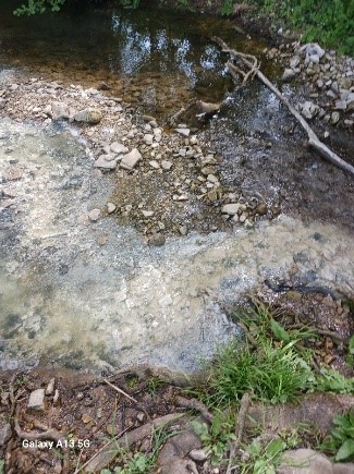 pollution ruisseau kaltbach boulay-moselle Pollut11