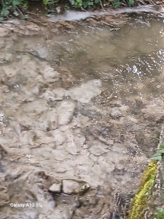 pollution ruisseau kaltbach boulay-moselle Pollut12
