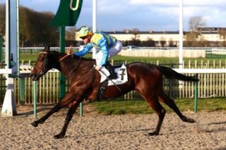 Quinté Prix de Sainte-Mère-Eglise - Deauville -Mardi 18/12/18 0e158110