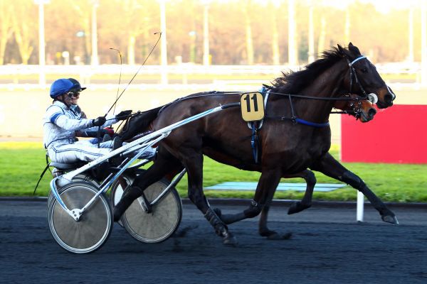 Quinté Prix de Tourcoing - Vincennes- Vendredi 14/12/18 0f9f5310