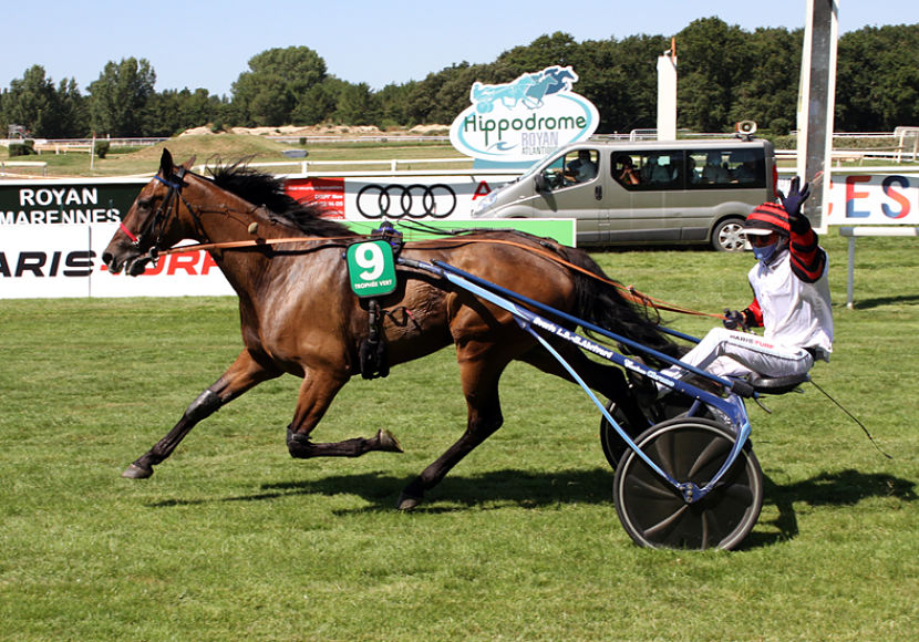 Prix - Prix V And B - Craon / R4 - C3 - Départ à - 16h07   6/09/20 Duel_o10