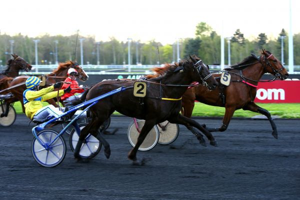 Quinté Prix Adelinda - Vincennes - Vendredi 7/09/18 Photo_28