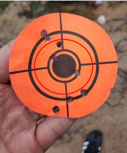 Précision .22 LR 200m_210