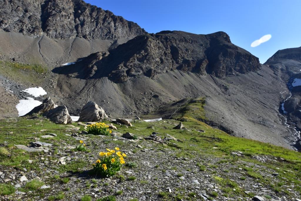 Haute-Tarentaise Fin août 0010