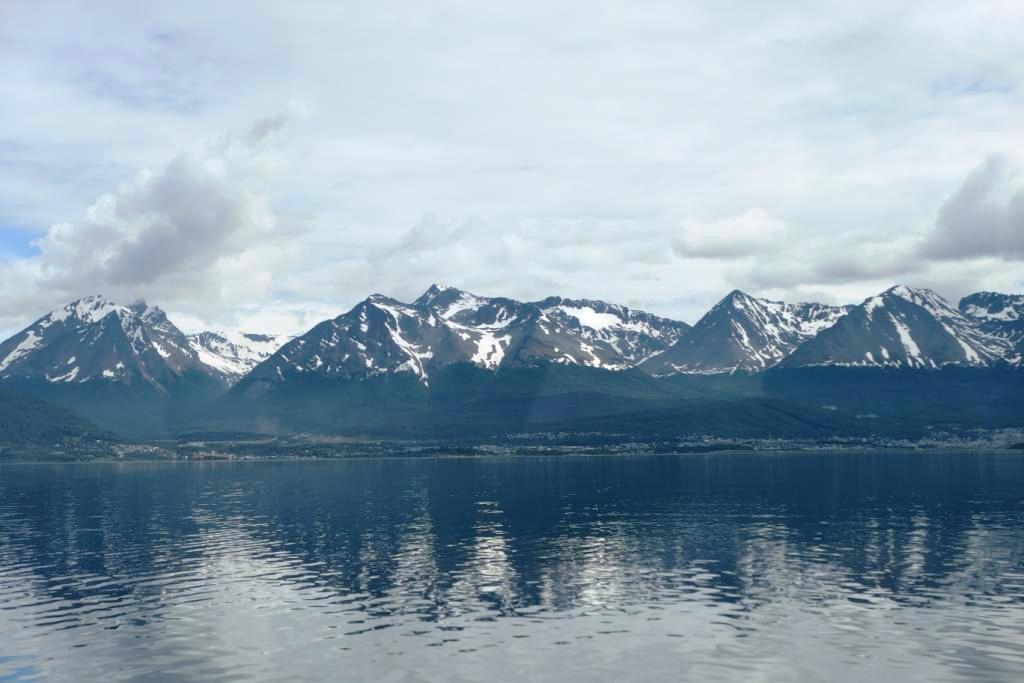 Flore, faune et paysages de Patagonie australe - Page 3 0011