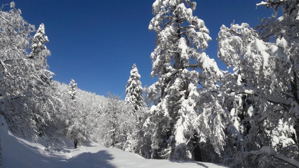 C'est l'hiver, le vrai, dans les Hautes-Vosges 02b11