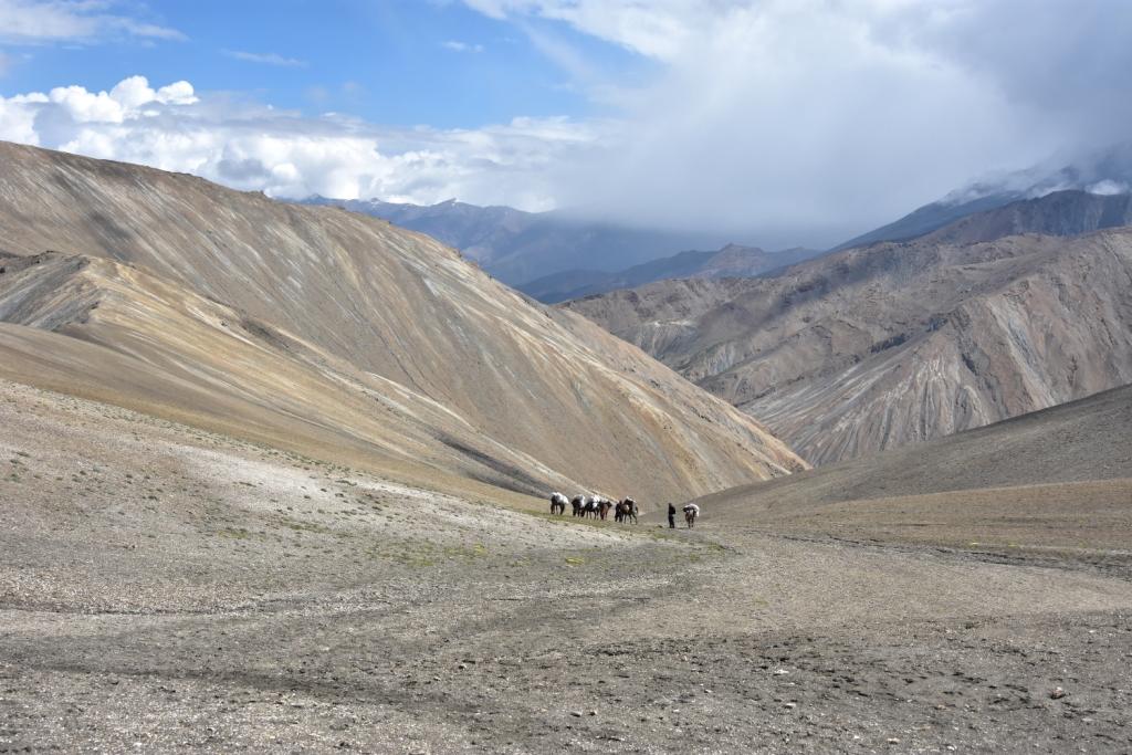 Ladakh - Eté 2023 - Page 2 04812
