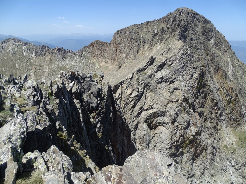 Le Canigou Bioto174