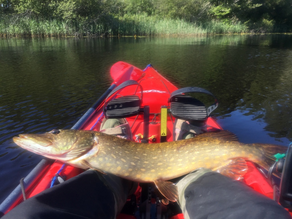 CRs peche en kayak ... en eau douce ;-) Lacano14
