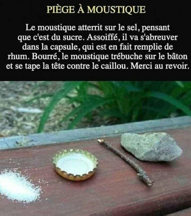 Un peu d'humour ne fait pas de mal en ce moment ! - Page 19 27857611