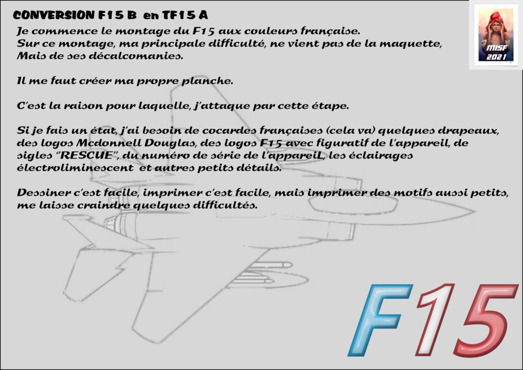 MCDONNELL DOUGLAS TF15-A (CONVERSION F15 B HELLER) 1/72 F15_fr10