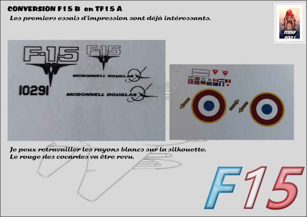MCDONNELL DOUGLAS TF15-A (CONVERSION F15 B HELLER) 1/72 F15_fr17