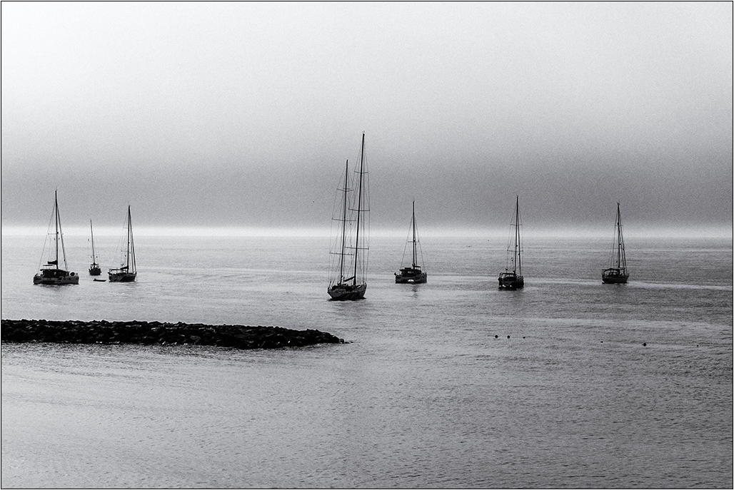 [Paysages] ☞ Dans la brume + V2 ☹️ Dsc02715