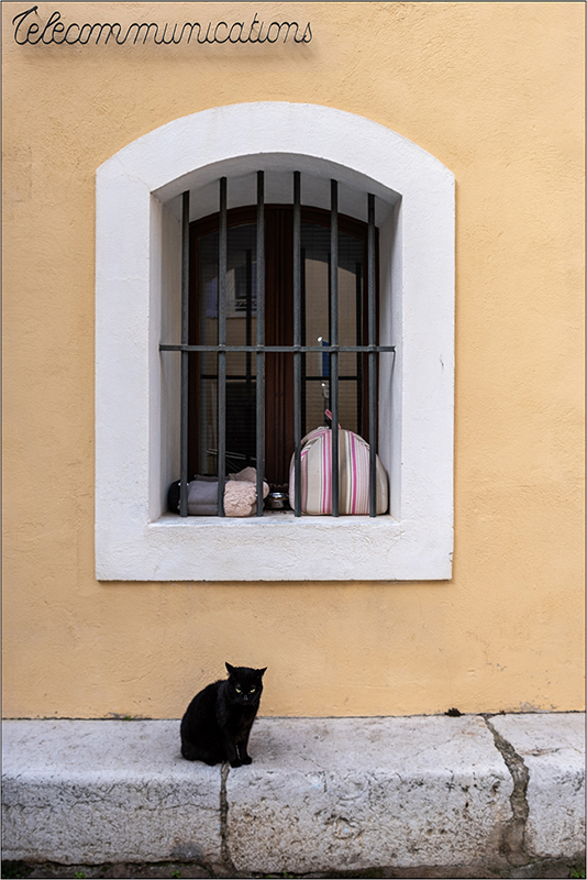 [Instants_de_vie_et_rue] Le chat des télécoms Dscf0815