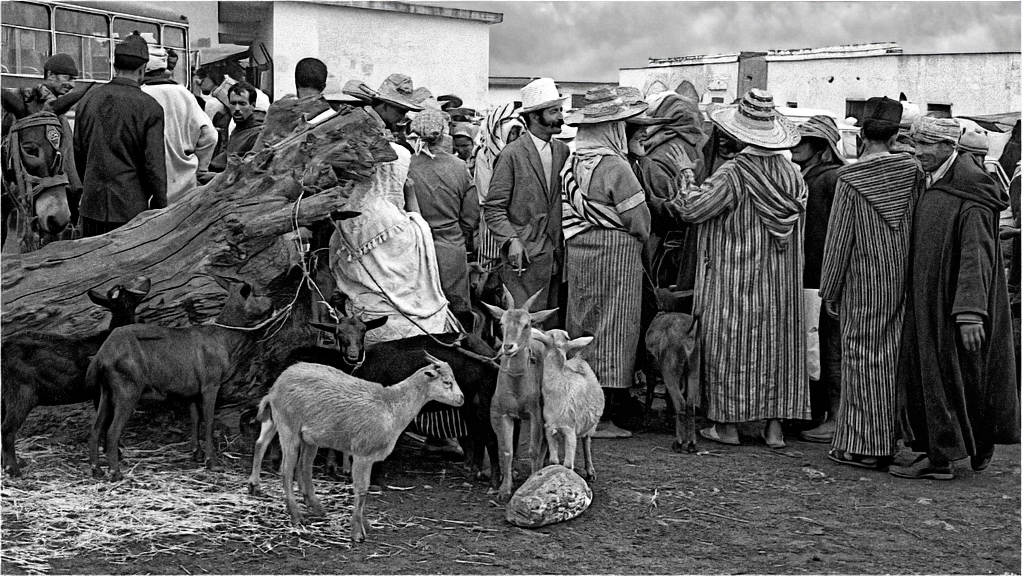 [Instants_de_vie_et_rue] ☞ Le marché aux chèvres Marchz12